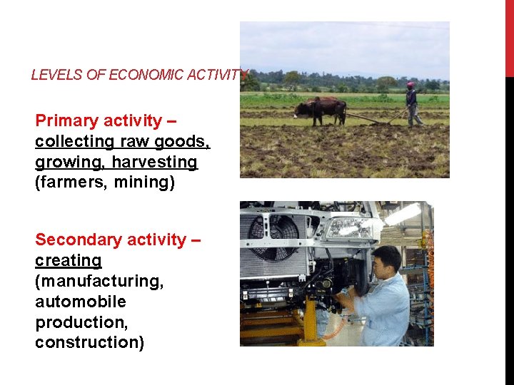 LEVELS OF ECONOMIC ACTIVITY Primary activity – collecting raw goods, growing, harvesting (farmers, mining)