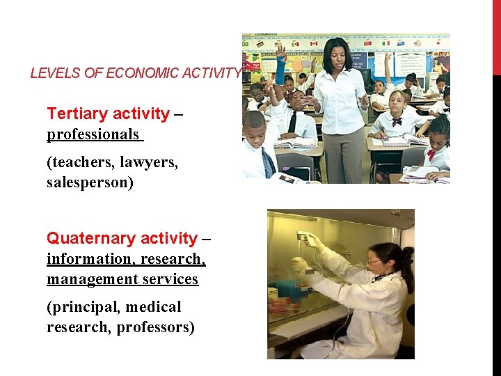 LEVELS OF ECONOMIC ACTIVITY Tertiary activity – professionals (teachers, lawyers, salesperson) Quaternary activity –