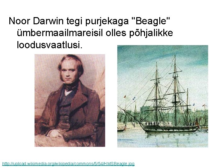 Noor Darwin tegi purjekaga "Beagle" ümbermaailmareisil olles põhjalikke loodusvaatlusi. http: //upload. wikimedia. org/wikipedia/commons/5/54/HMSBeagle. jpg