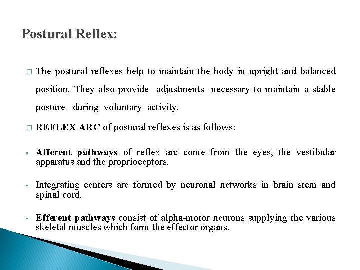 Postural Reflex: � The postural reflexes help to maintain the body in upright and