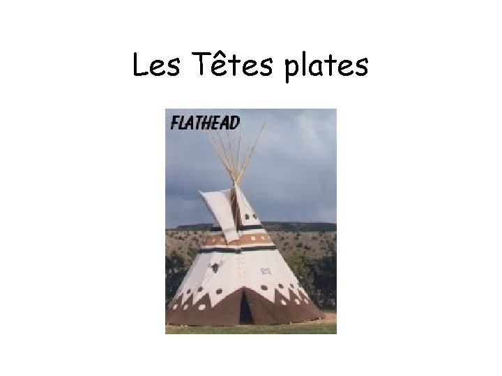 Les Têtes plates 