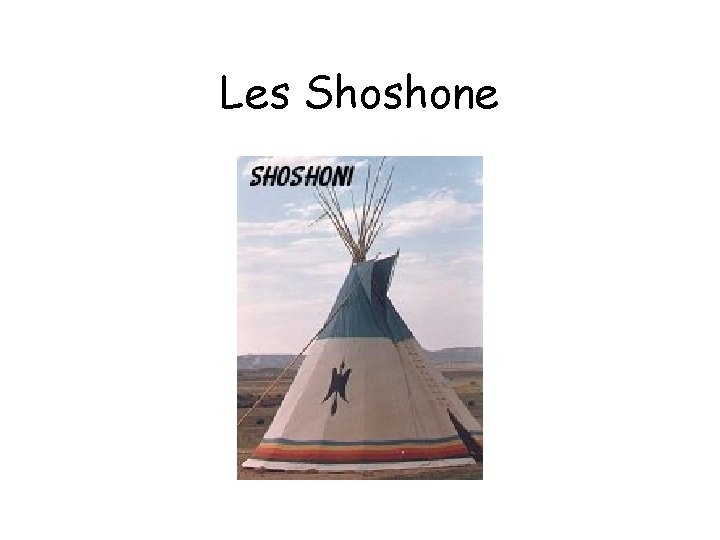 Les Shoshone 