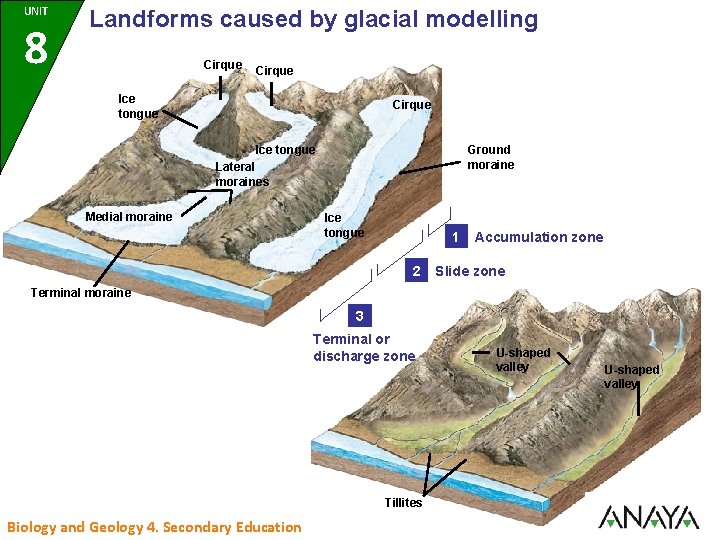 UNIT 8 Landforms caused by glacial modelling Cirque Ice tongue Ground moraine Lateral moraines