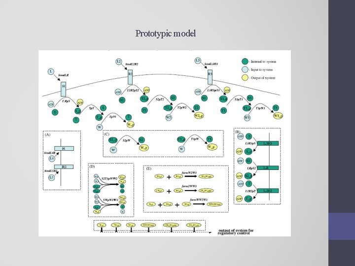 Topological analysis of massbalanced signaling networks a framework