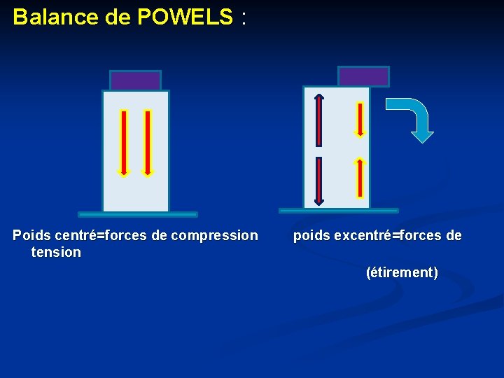 Balance de POWELS : Poids centré=forces de compression tension poids excentré=forces de (étirement) 