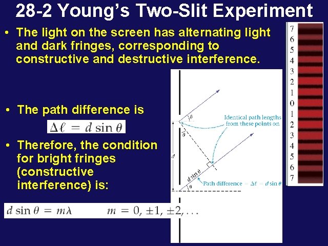 28 -2 Young’s Two-Slit Experiment • The light on the screen has alternating light 28 -2 Young’s Two-Slit Experiment • The light on the screen has alternating light