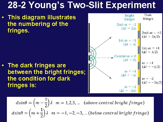 28 -2 Young’s Two-Slit Experiment • This diagram illustrates the numbering of the fringes.