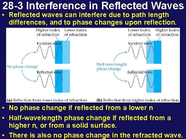 28 -3 Interference in Reflected Waves • Reflected waves can interfere due to path