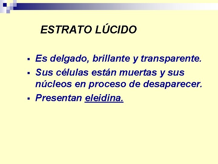 ESTRATO LÚCIDO § § § Es delgado, brillante y transparente. Sus células están muertas