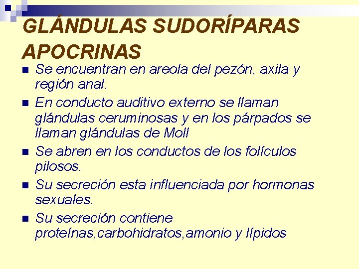 GLÁNDULAS SUDORÍPARAS APOCRINAS n n n Se encuentran en areola del pezón, axila y