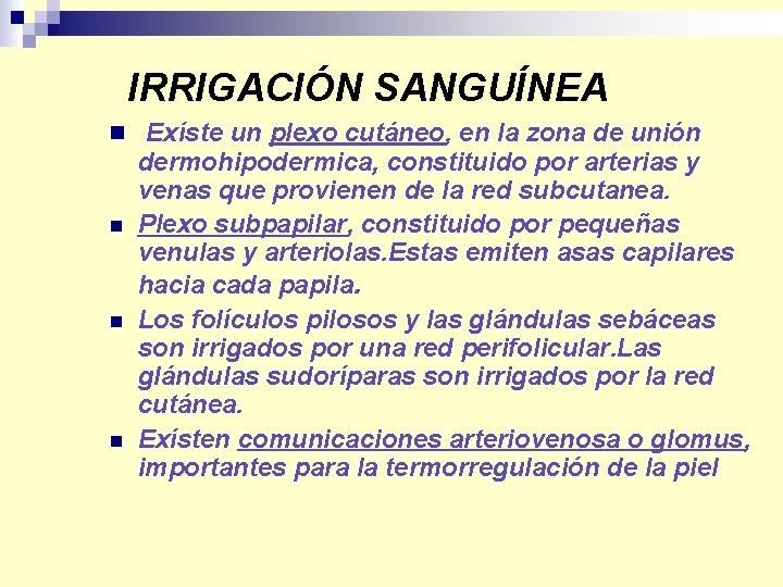 IRRIGACIÓN SANGUÍNEA n Exíste un plexo cutáneo, en la zona de unión n dermohipodermica,