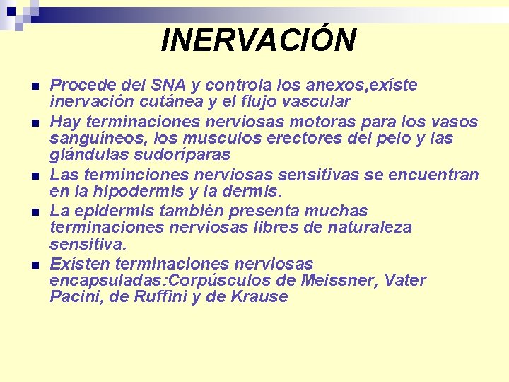 INERVACIÓN n n n Procede del SNA y controla los anexos, exíste inervación cutánea