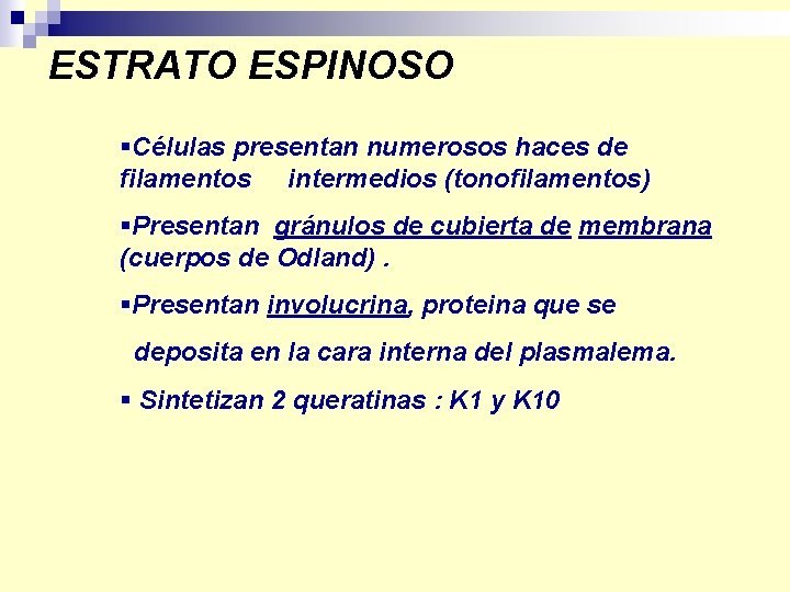 ESTRATO ESPINOSO §Células presentan numerosos haces de filamentos intermedios (tonofilamentos) §Presentan gránulos de cubierta