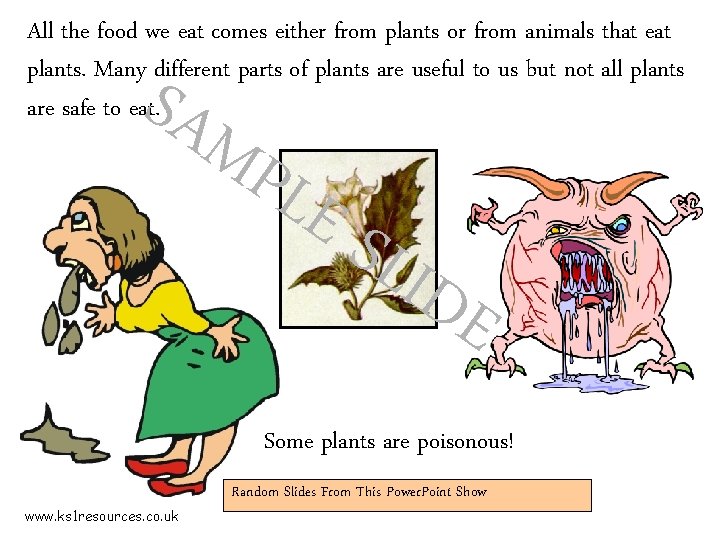 All the food we eat comes either from plants or from animals that eat