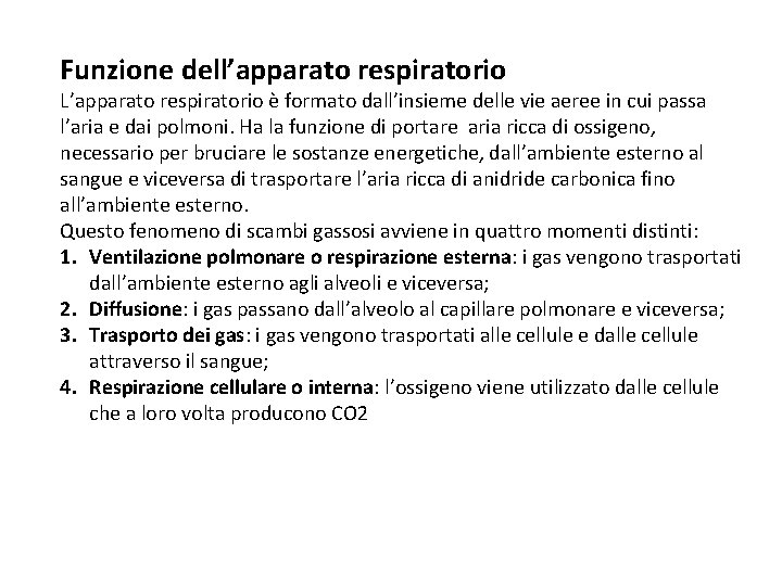 Funzione dell’apparato respiratorio L’apparato respiratorio è formato dall’insieme delle vie aeree in cui passa