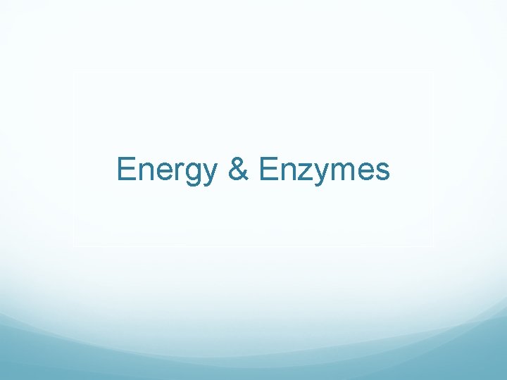 Energy & Enzymes Energy & Enzymes
