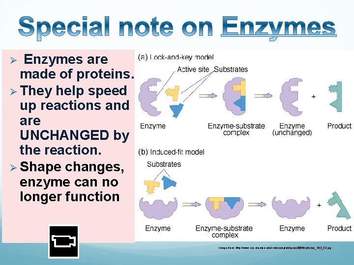 Enzymes are made of proteins. Ø They help speed up reactions and are UNCHANGED Enzymes are made of proteins. Ø They help speed up reactions and are UNCHANGED