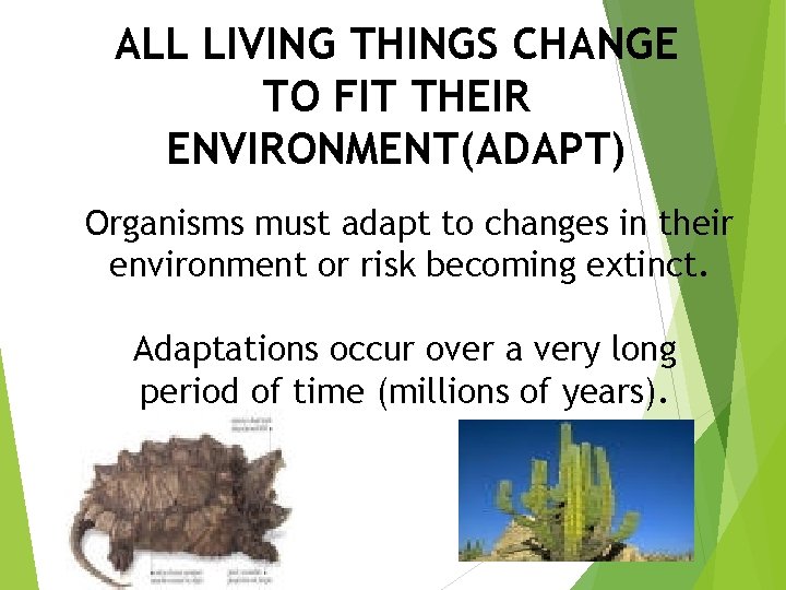 ALL LIVING THINGS CHANGE TO FIT THEIR ENVIRONMENT(ADAPT) Organisms must adapt to changes in