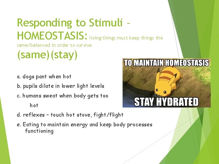Responding to Stimuli – HOMEOSTASIS: living things must keep things the same/balanced in order