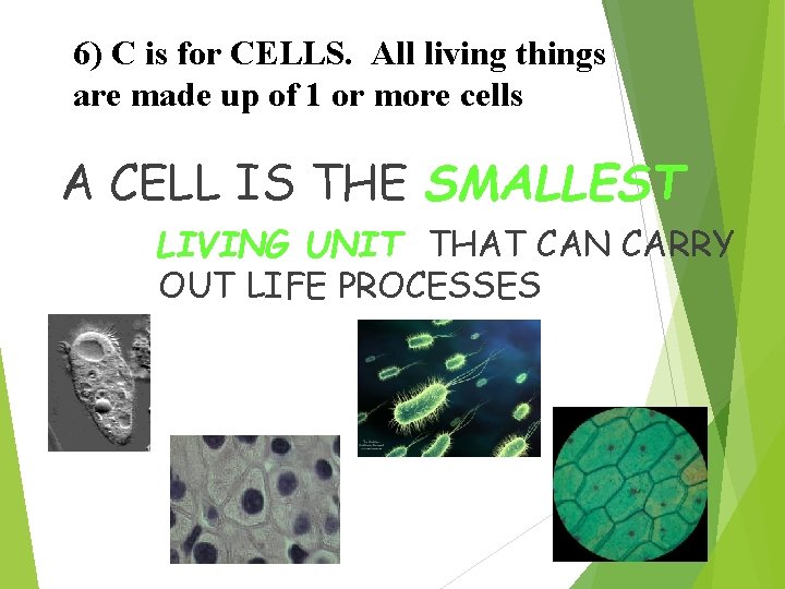 6) C is for CELLS. All living things are made up of 1 or