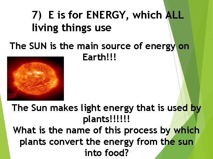 7) E is for ENERGY, which ALL living things use The SUN is the