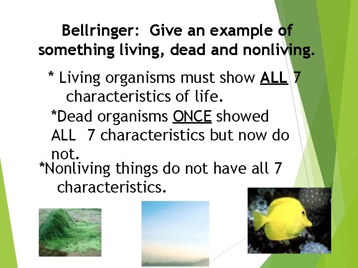 Bellringer: Give an example of something living, dead and nonliving. * Living organisms must