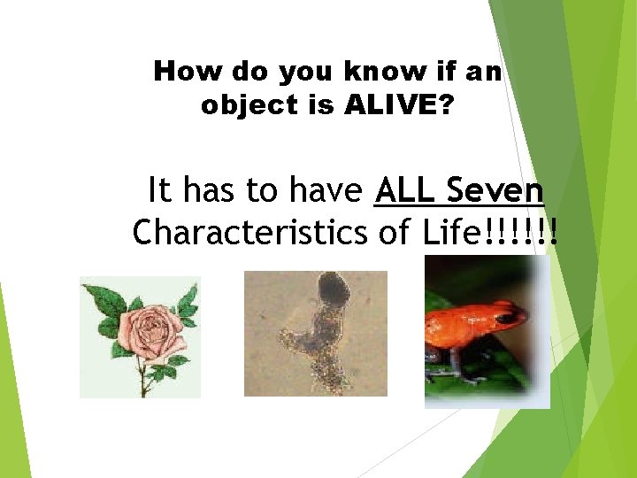 How do you know if an object is ALIVE? It has to have ALL