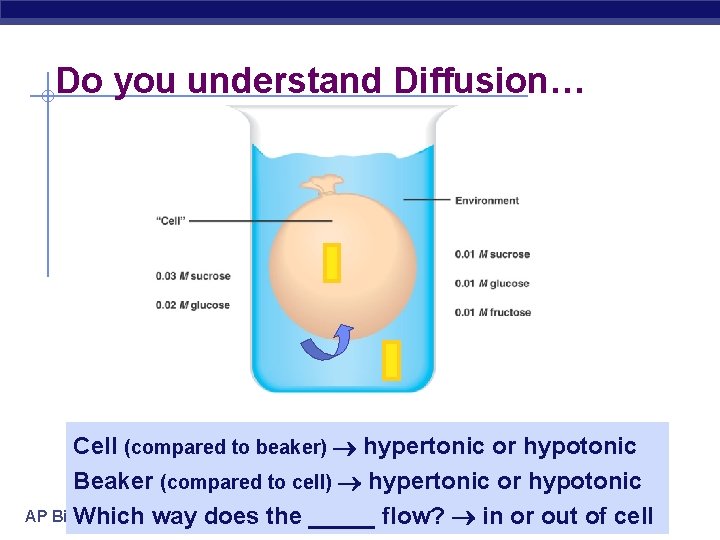 Do you understand Diffusion… Cell (compared to beaker) hypertonic or hypotonic Beaker (compared to