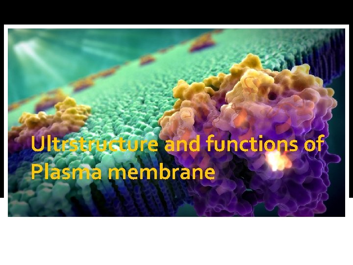 Ultrstructure and functions of Plasma membrane Dr. Subhadra Roy 