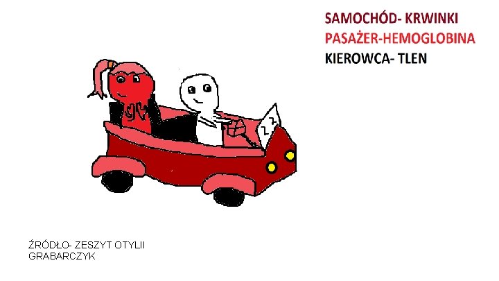 ŹRÓDŁO- ZESZYT OTYLII GRABARCZYK 