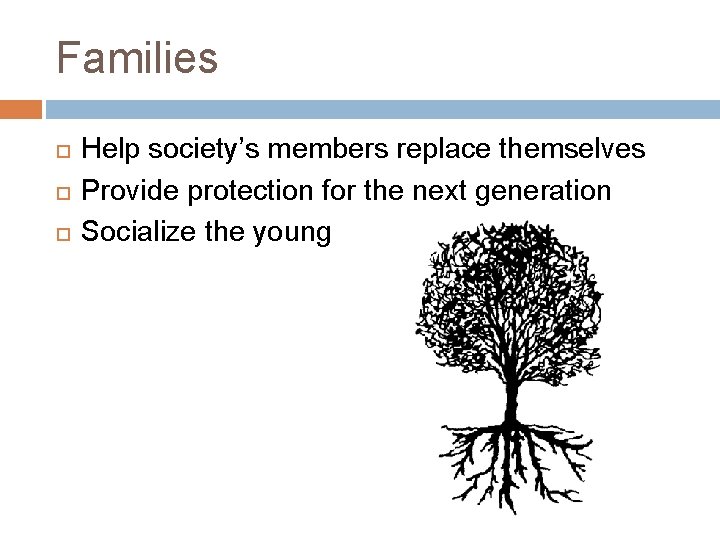 Families Help society’s members replace themselves Provide protection for the next generation Socialize the