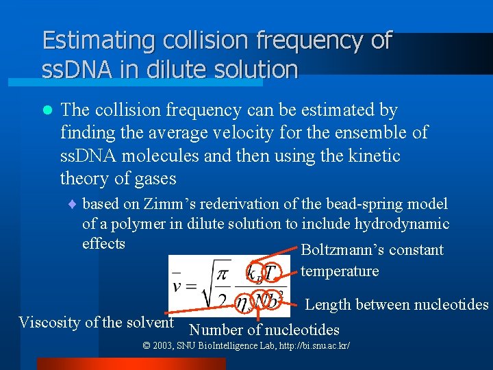 Estimating collision frequency of ss. DNA in dilute solution l The collision frequency can