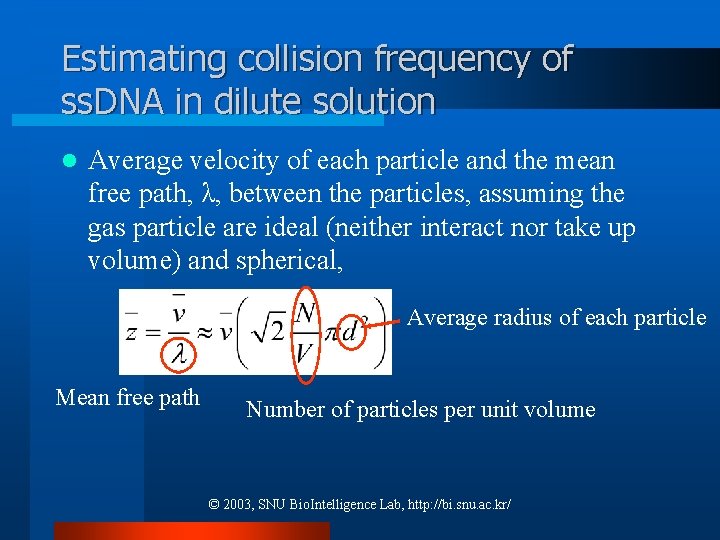 Estimating collision frequency of ss. DNA in dilute solution l Average velocity of each