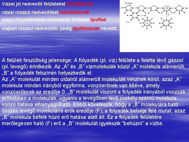 Vízzel jól nedvesítő felületeket hidrofiloknak vízzel rosszul nedvesítőket hidrofóboknak olajos folyadékokban nedvesedő felületek lipofilek