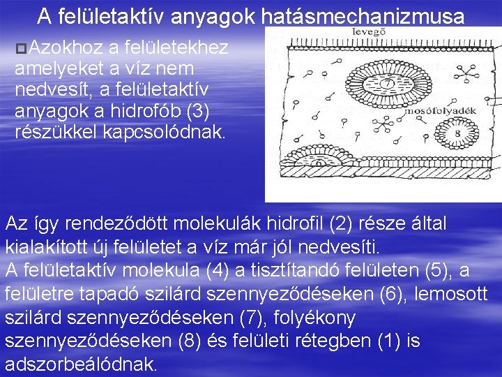 A felületaktív anyagok hatásmechanizmusa p. Azokhoz a felületekhez amelyeket a víz nem nedvesít, a