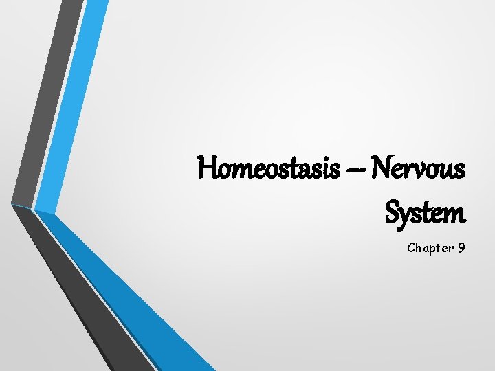 Homeostasis – Nervous System Chapter 9 