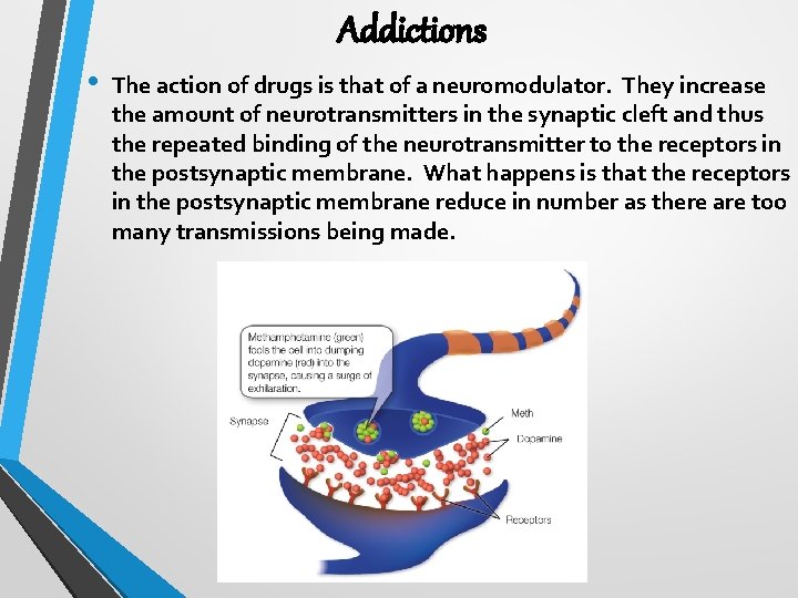 Addictions • The action of drugs is that of a neuromodulator. They increase the