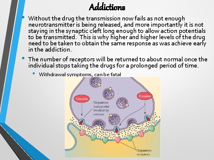  • • Addictions Without the drug the transmission now fails as not enough