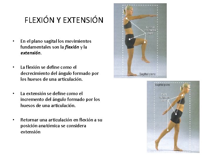 FLEXIÓN Y EXTENSIÓN • En el plano sagital los movimientos fundamentales son la flexión