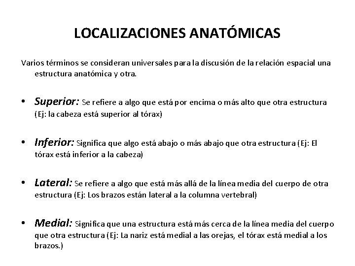 LOCALIZACIONES ANATÓMICAS Varios términos se consideran universales para la discusión de la relación espacial