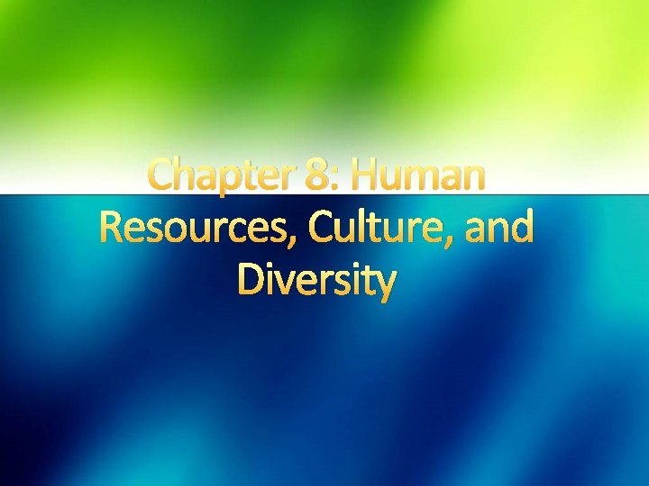 Chapter 8: Human Resources, Culture, and Diversity 