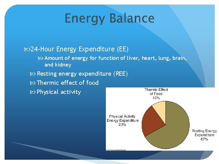  24 -Hour Energy Expenditure (EE) Amount of energy for function of liver, heart,