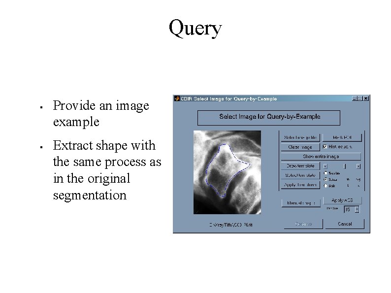 Query § § Provide an image example Extract shape with the same process as