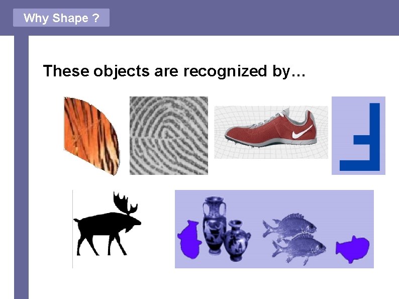 Why Shape ? These objects are recognized by… 