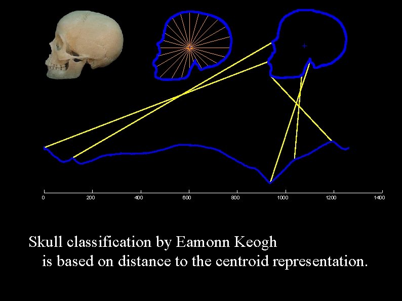 0 200 400 600 800 1000 1200 Skull classification by Eamonn Keogh is based