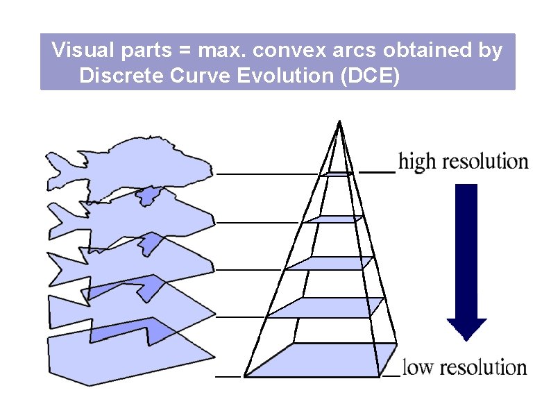 Visual parts = max. convex arcs obtained by Discrete Curve Evolution (DCE) 