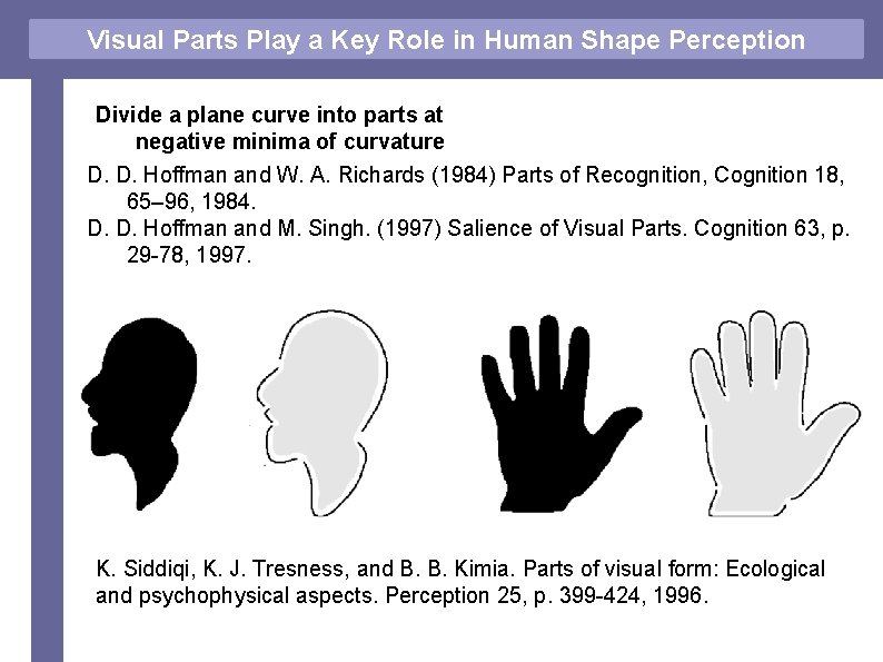 Visual Parts Play a Key Role in Human Shape Perception Divide a plane curve