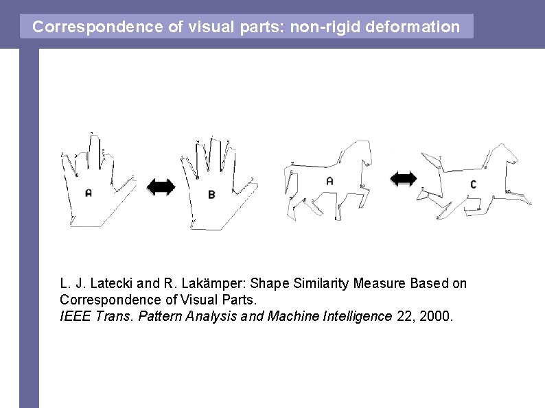 Correspondence of visual parts: non-rigid deformation L. J. Latecki and R. Lakämper: Shape Similarity