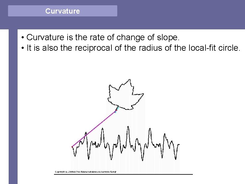Vector Comparison Curvature • Curvature is the rate of change of slope. • It