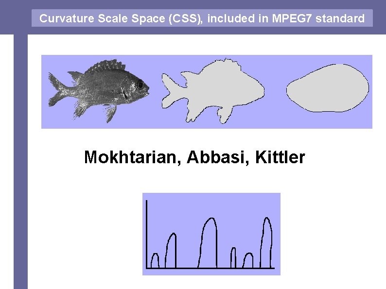 Curvature Scale Space (CSS), included in MPEG 7 standard Mokhtarian, Abbasi, Kittler 